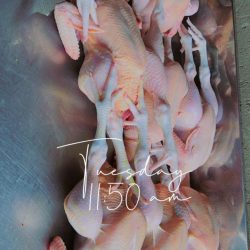 WhatsApp Image 2025-07-21 at 19.39.29